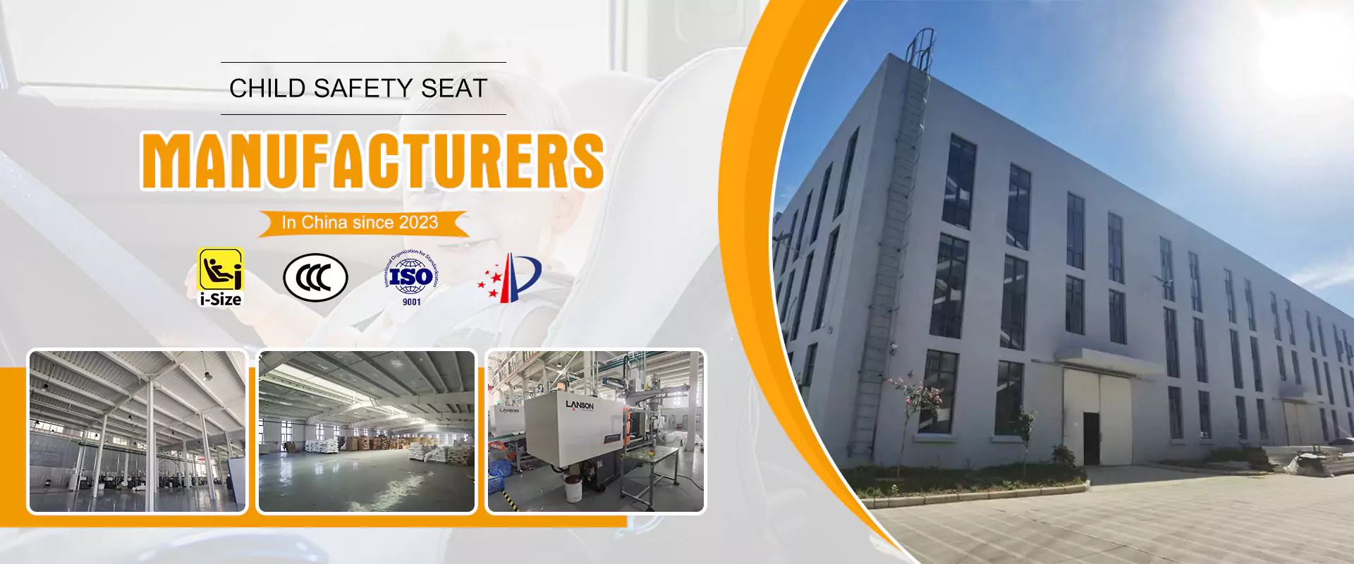 Китайский сидень